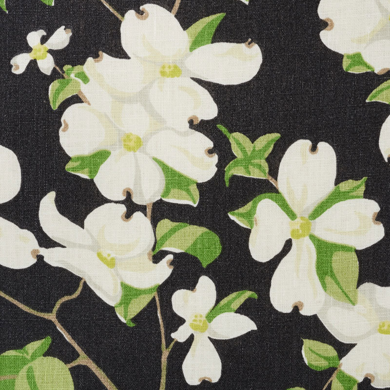 BLOOMING-BRANCH-BLACK-SCHUMACHER-177412