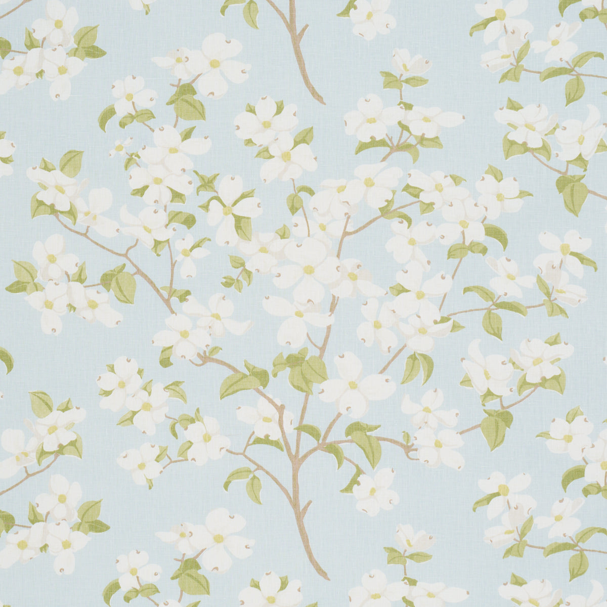 BLOOMING-BRANCH-SKY-SCHUMACHER-177413