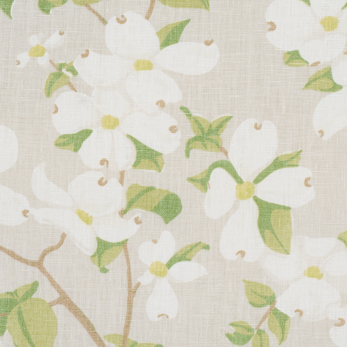 BLOOMING-BRANCH-DOVE-SCHUMACHER-177414