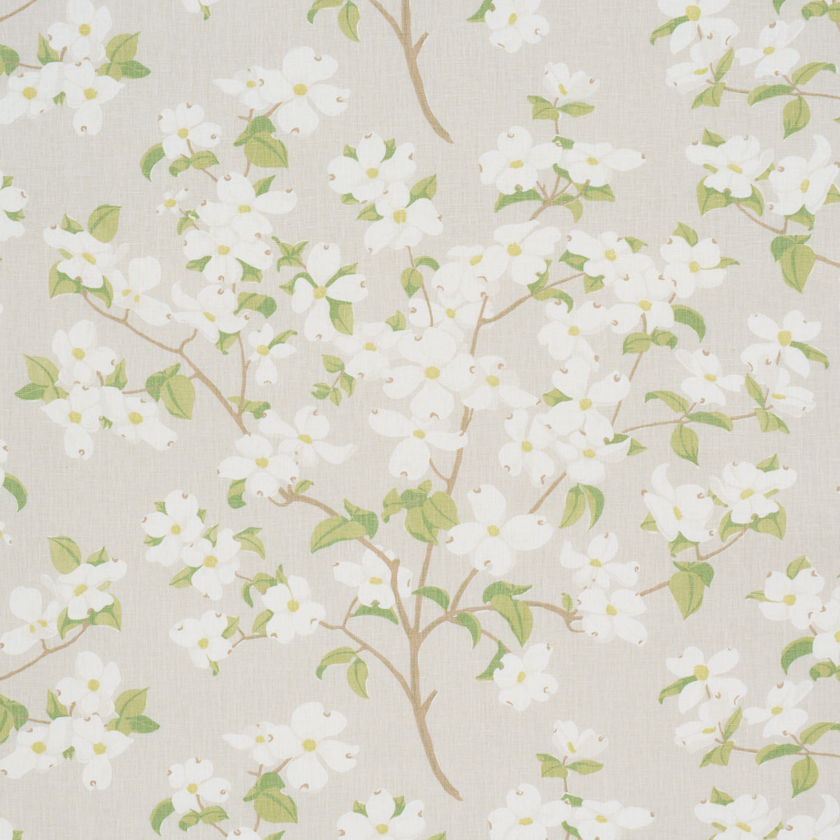 BLOOMING-BRANCH-DOVE-SCHUMACHER-177414