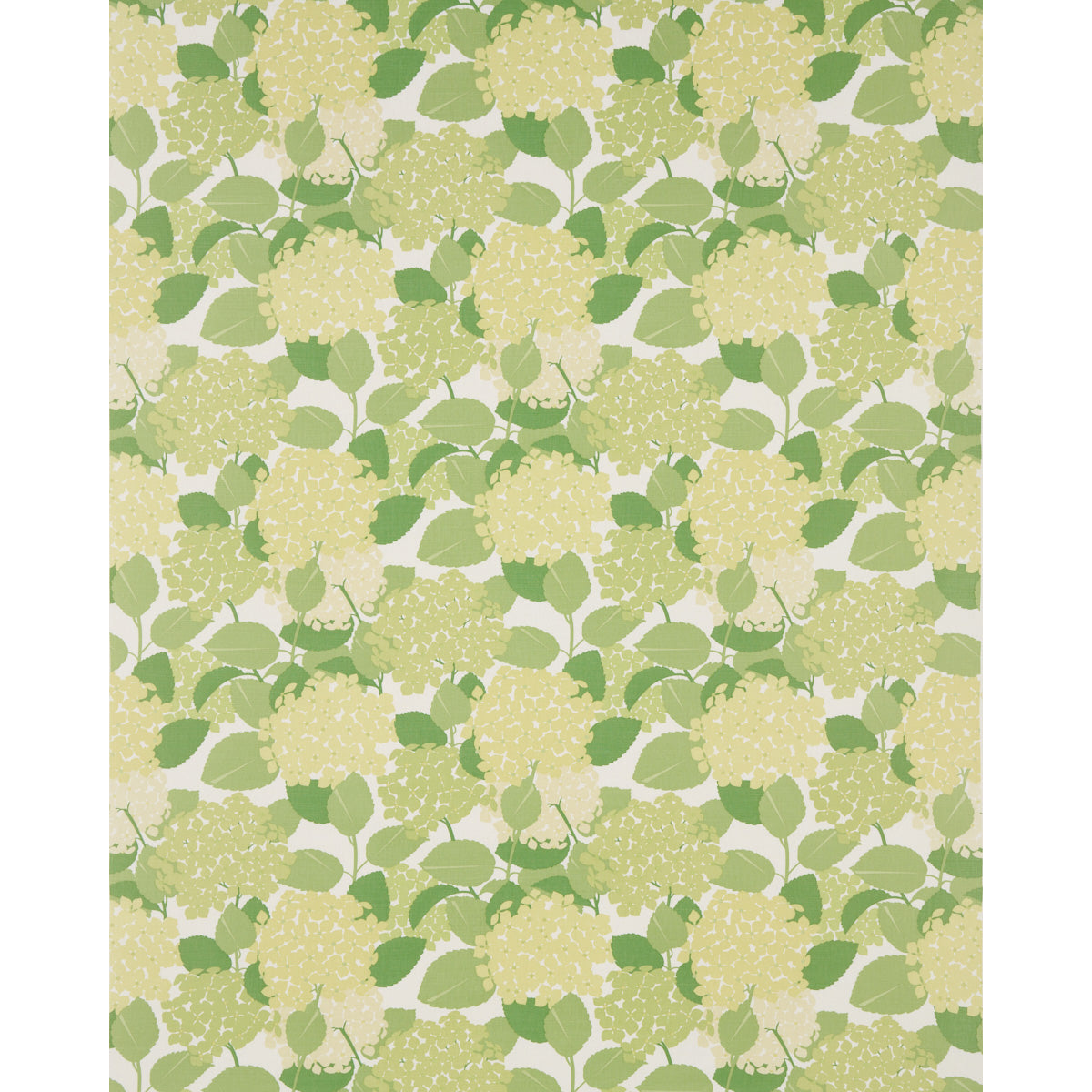 HYDRANGEA-GREEN-SCHUMACHER-177584