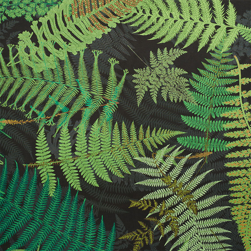 FERNARIUM-GREEN-BLACK-SCHUMACHER-177591