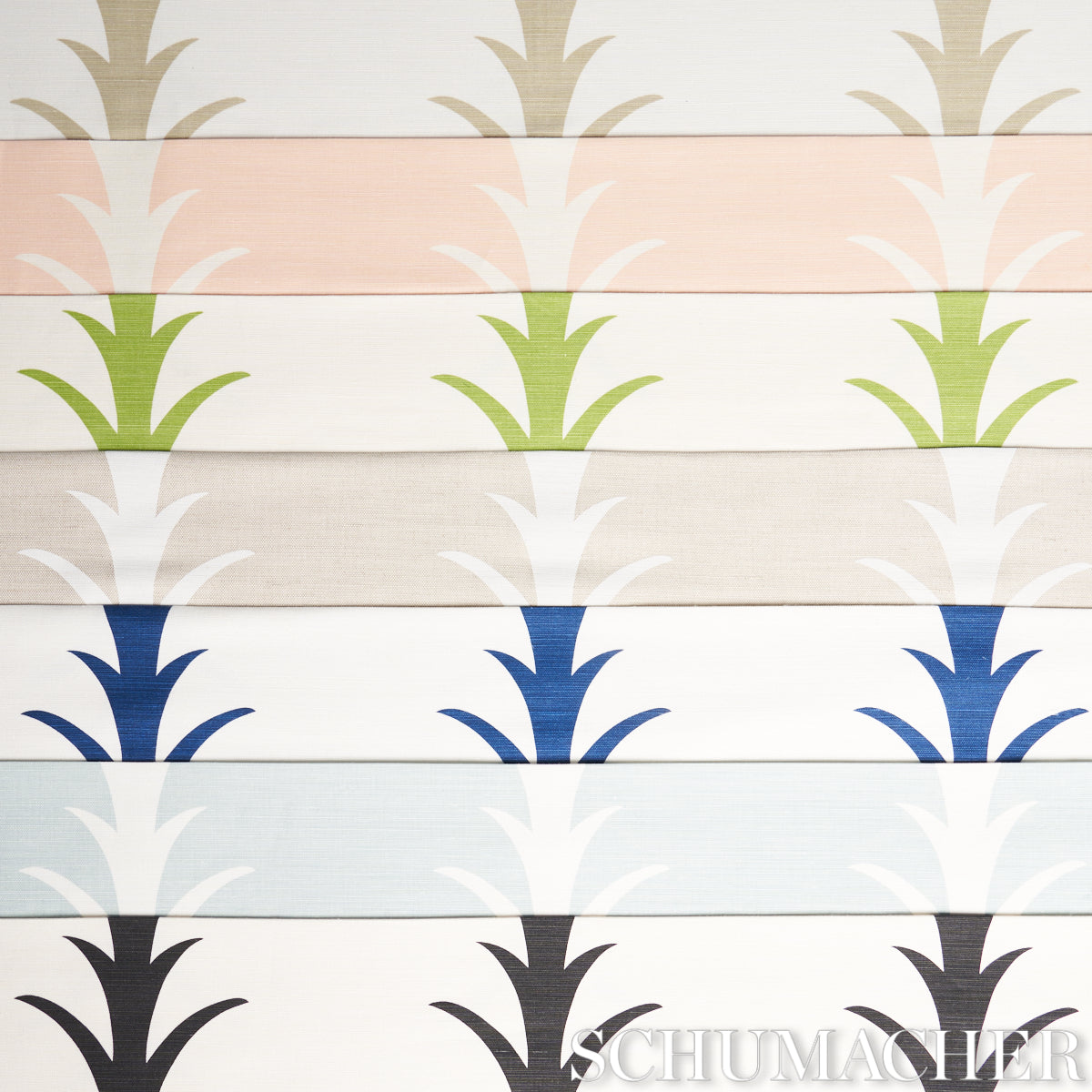 ACANTHUS-STRIPE-CARBON-SCHUMACHER-177632