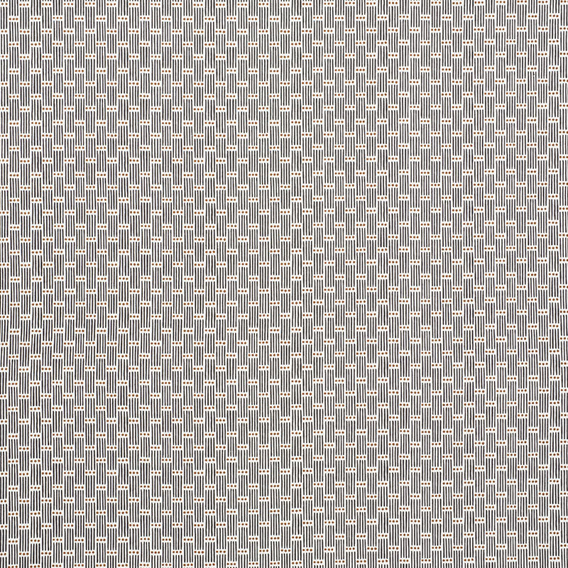 DOTTED-STRIPE-CARBON-SCHUMACHER-177710