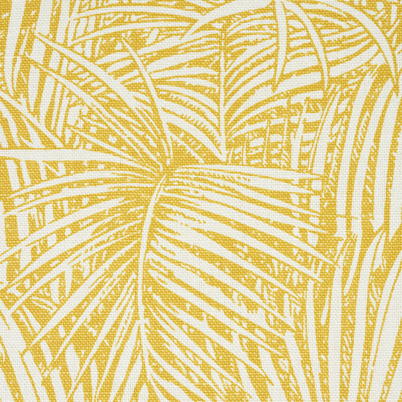 GRAND-PALMS-GOLD-SCHUMACHER-178001