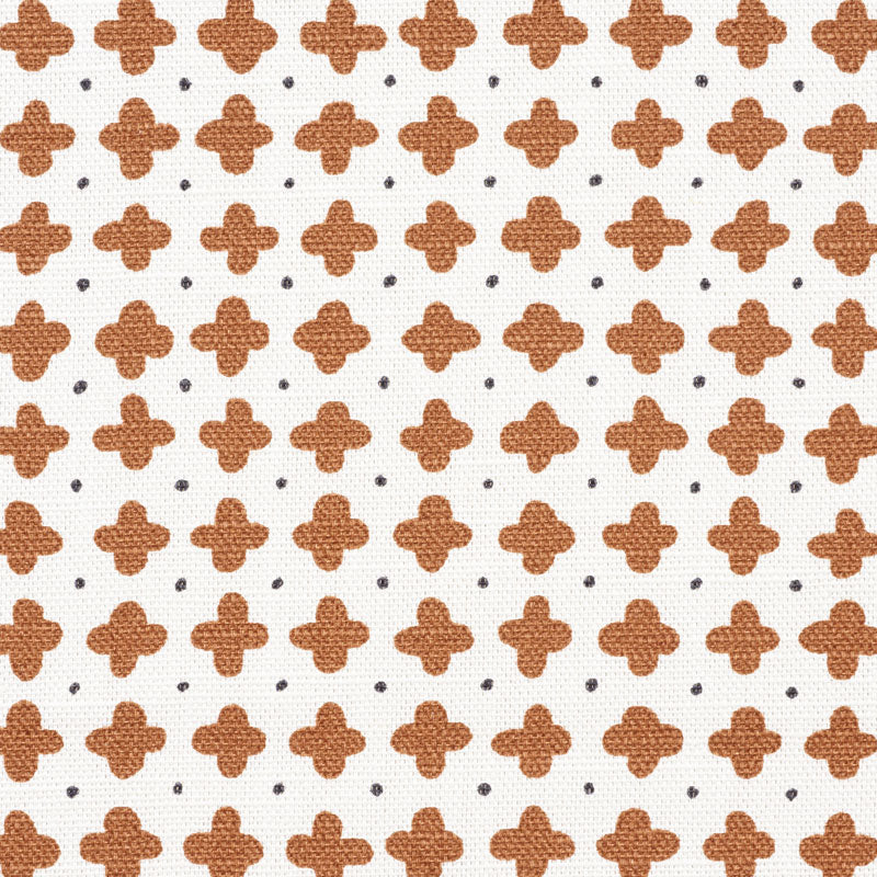 POLKA-BROWN-SCHUMACHER-178242