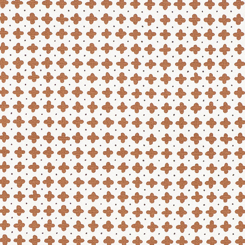 POLKA-BROWN-SCHUMACHER-178242