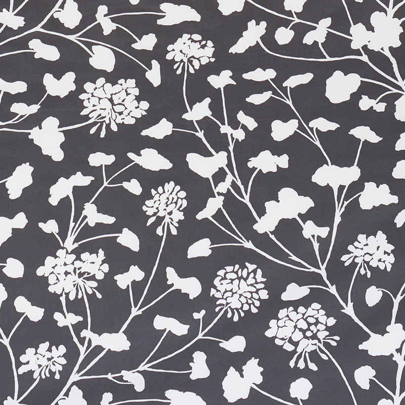 PENNICK-CHINTZ-BLACK-SCHUMACHER-178541