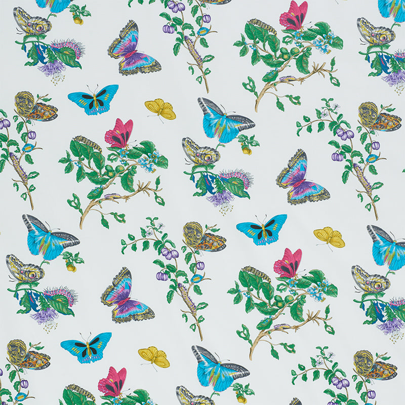 BAUDIN-BUTTERFLY-CHINTZ-TURQUOISE-SCHUMACHER-178721