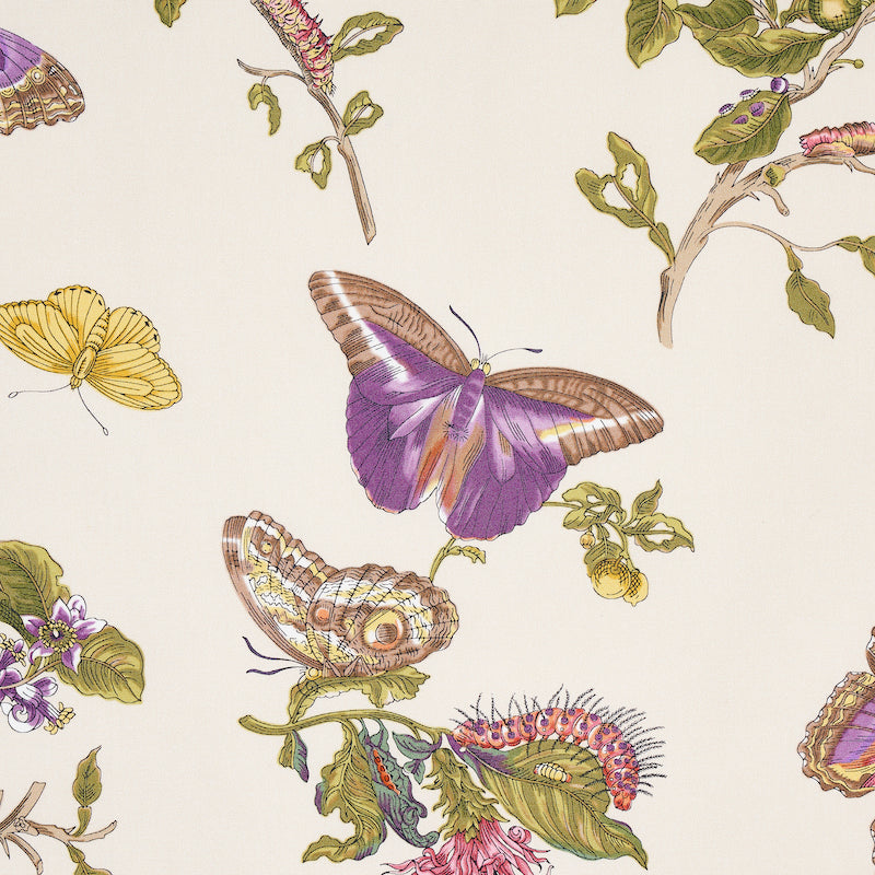 BAUDIN-BUTTERFLY-CHINTZ-PURPLE-SCHUMACHER-178722