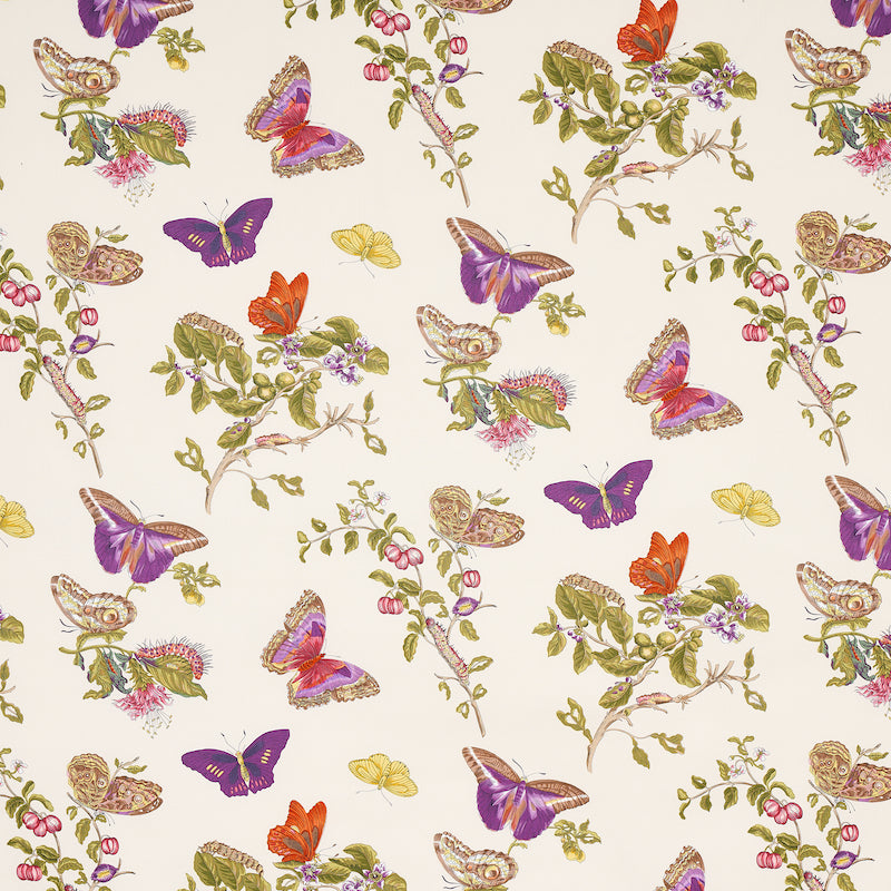 BAUDIN-BUTTERFLY-CHINTZ-PURPLE-SCHUMACHER-178722