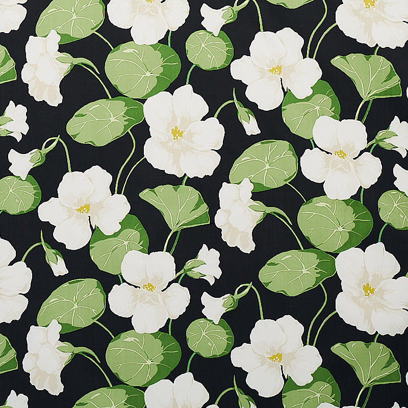 NASTURTIUM-NOIR-SCHUMACHER-179490