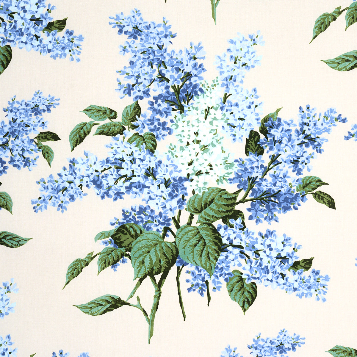 PROUSTS-LILACS-BLUE-SCHUMACHER-180620