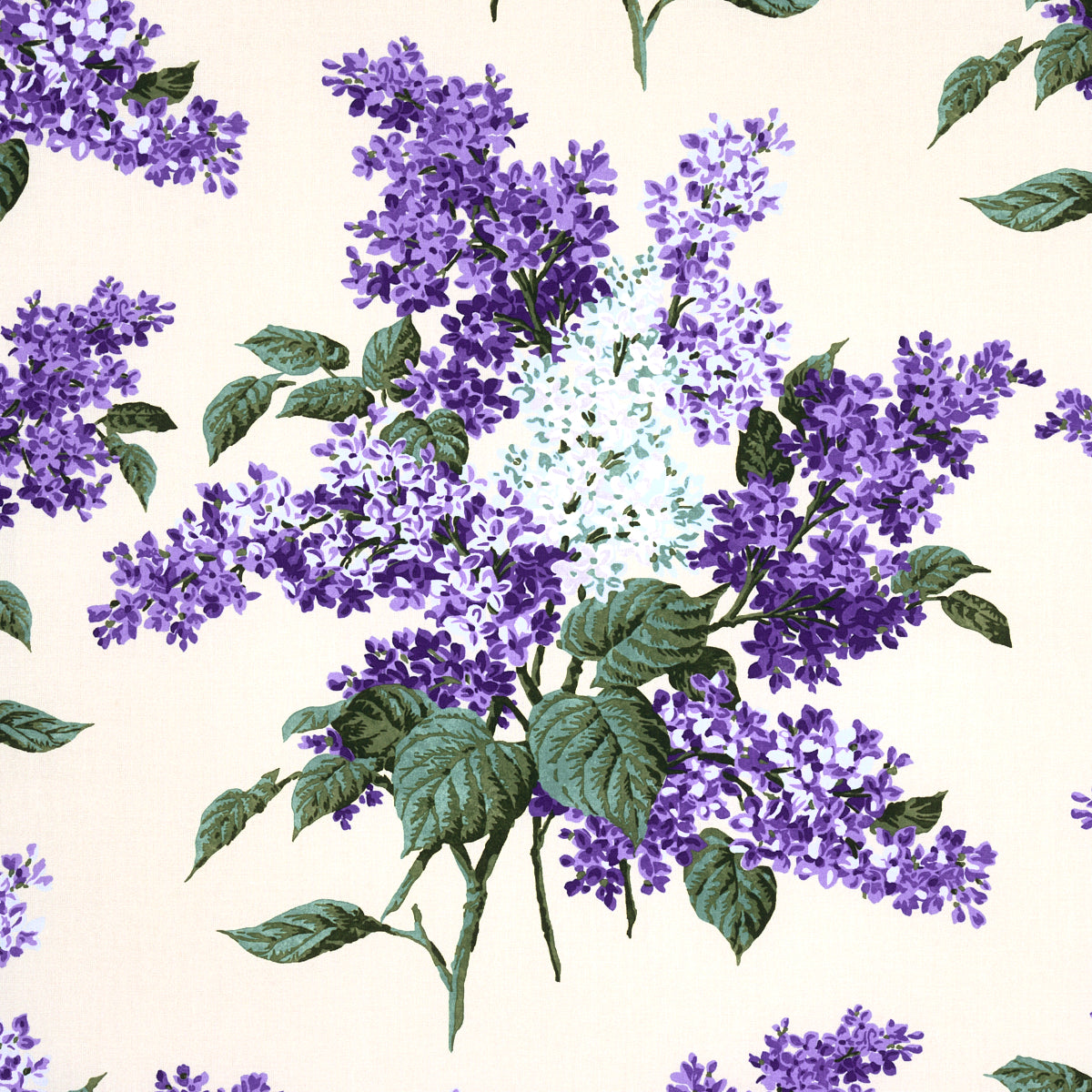 PROUSTS-LILACS-PURPLE-SCHUMACHER-180621