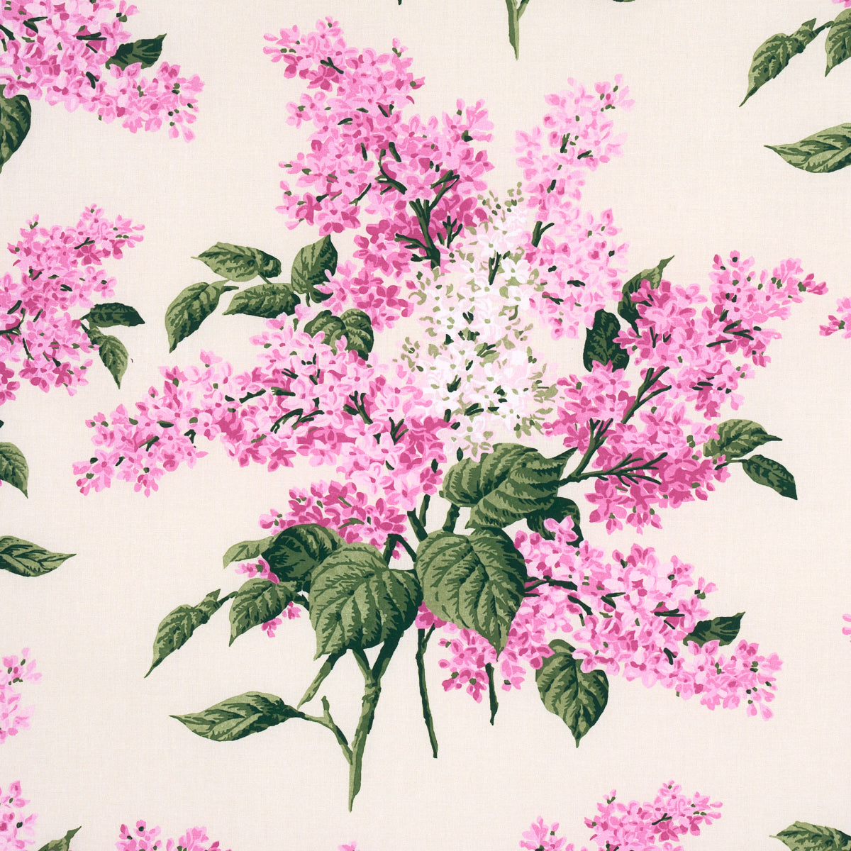 PROUSTS-LILACS-PINK-SCHUMACHER-180622