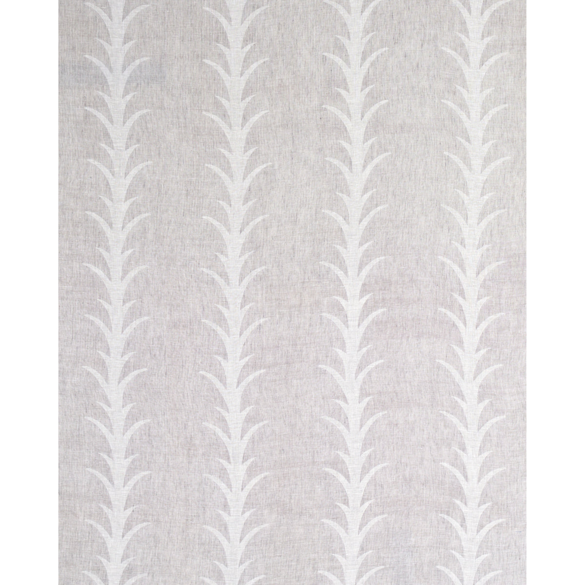 ACANTHUS-STRIPE-SHEER-CARBON-SCHUMACHER-180801