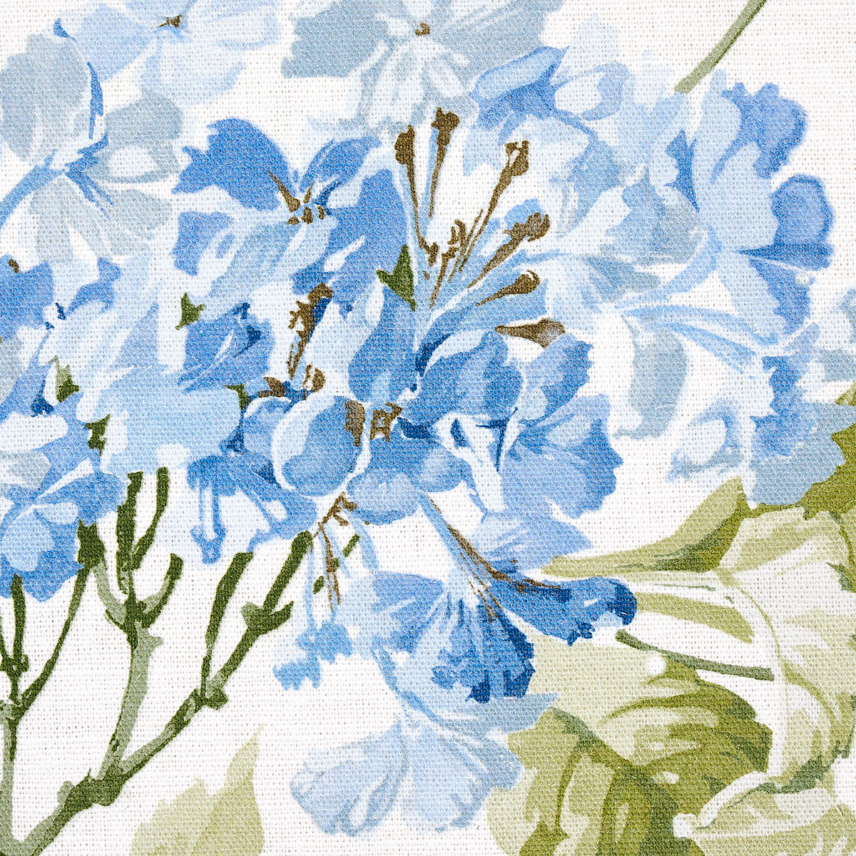 SUMMER-HYDRANGEA-BLUE-HYDRANGEA-SCHUMACHER-180822