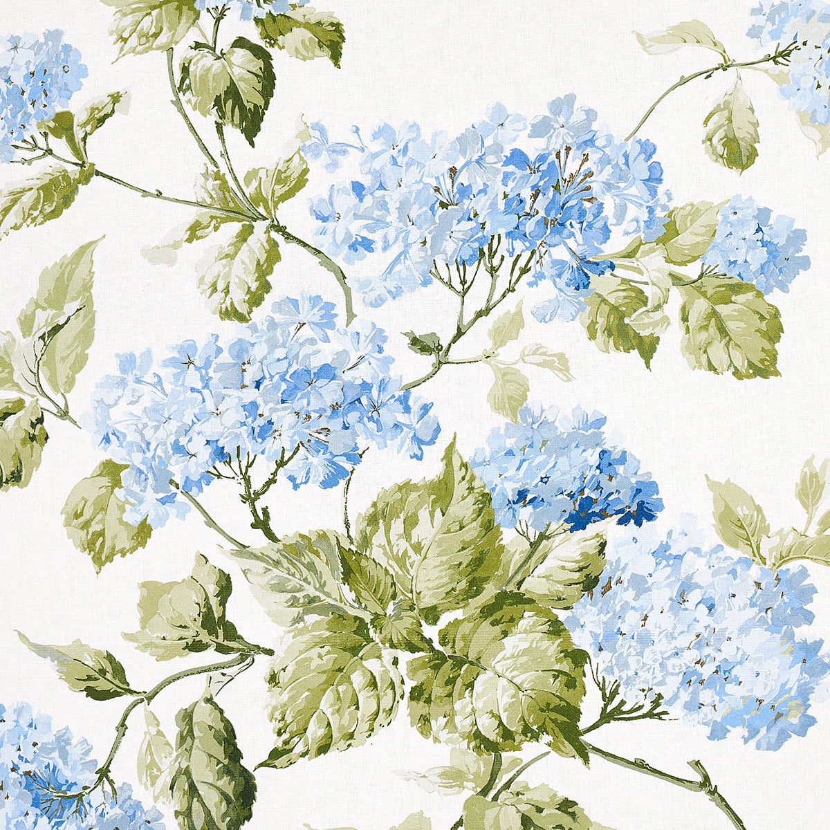 SUMMER-HYDRANGEA-BLUE-HYDRANGEA-SCHUMACHER-180822