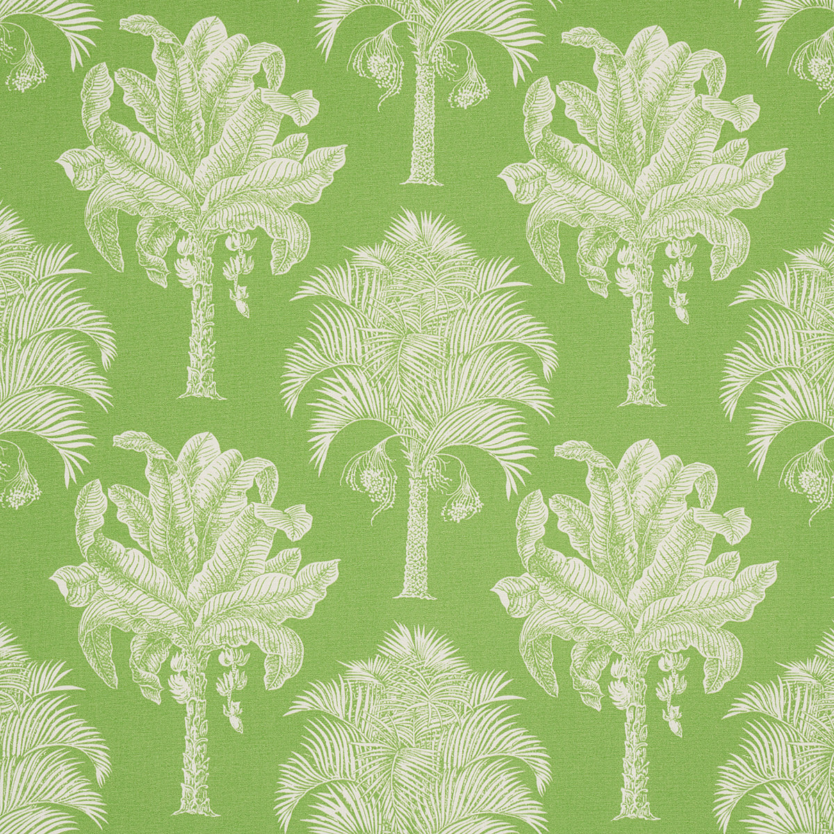 GRAND-PALMS-INDOOR-OUTDOOR-GREEN-SCHUMACHER-180960