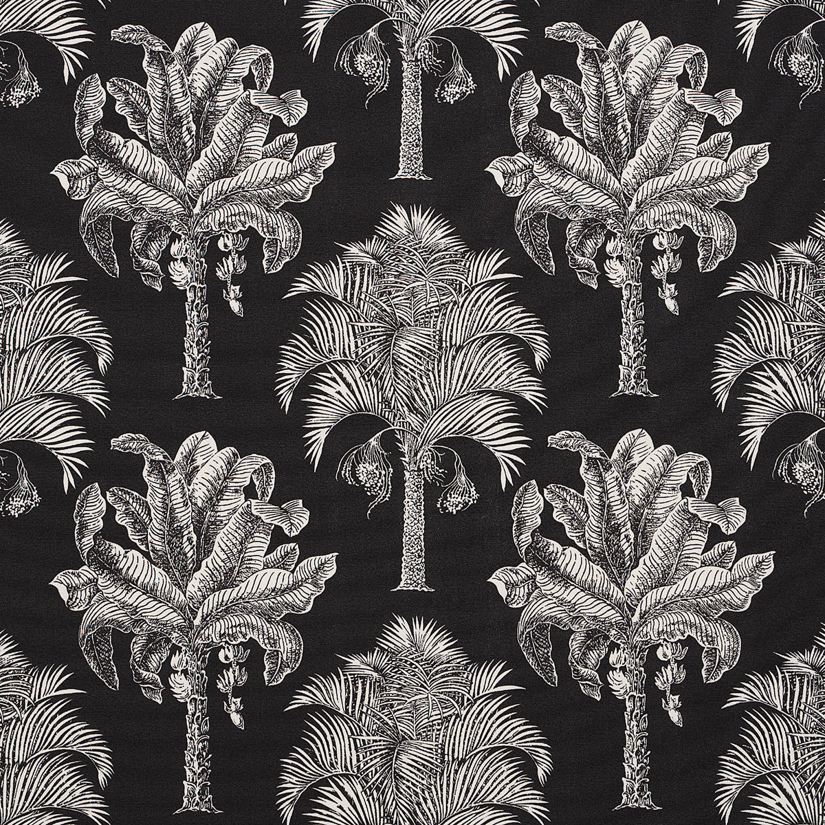 GRAND-PALMS-INDOOR-OUTDOOR-BLACK-SCHUMACHER-180962