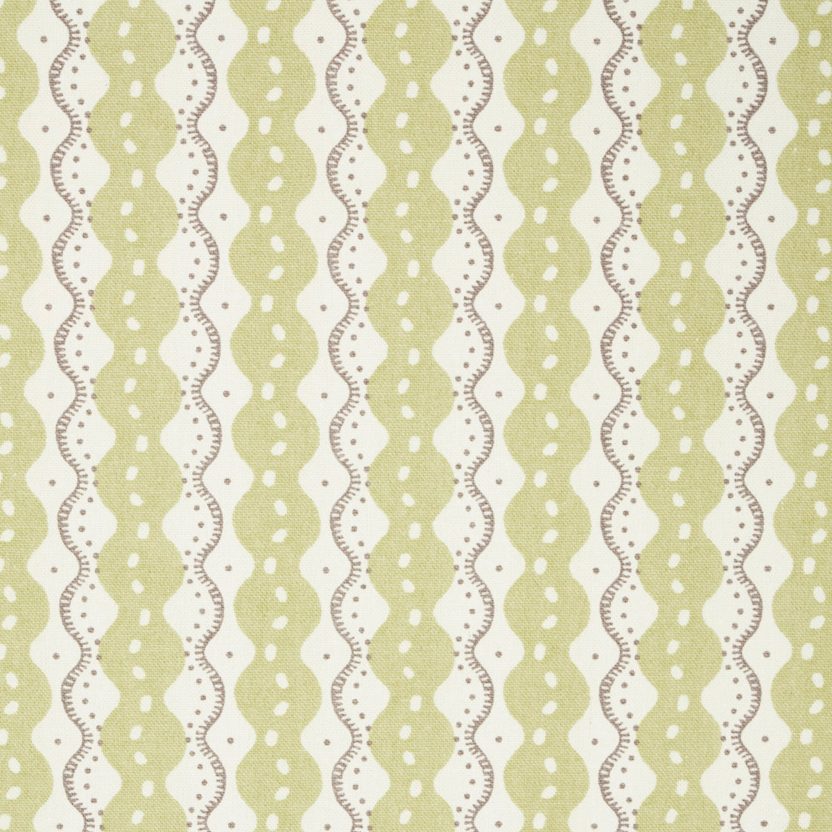 CENTIPEDE-STRIPE-PEA-SCHUMACHER-181440