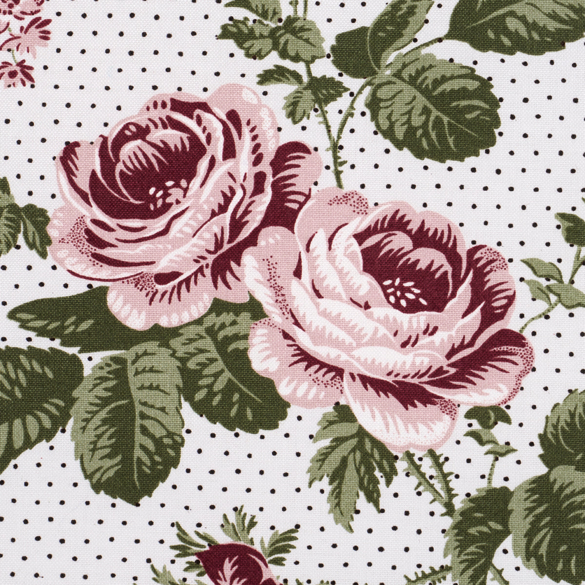 SIBYL-CHINTZ-ROSE-SCHUMACHER-182080