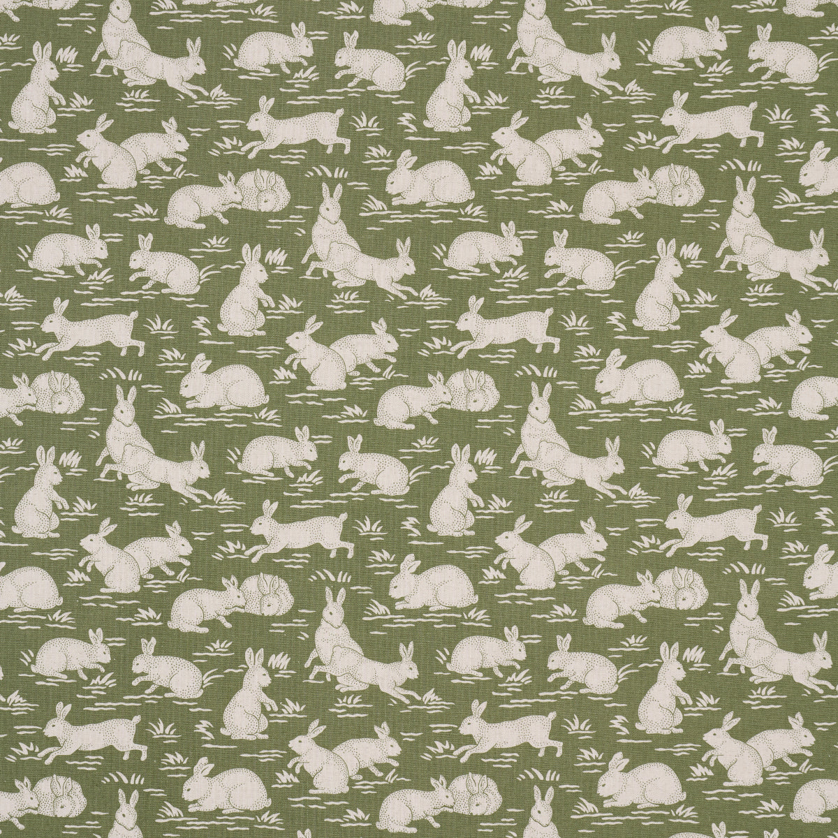 COTTONTAILS-MOSS-SCHUMACHER-182240