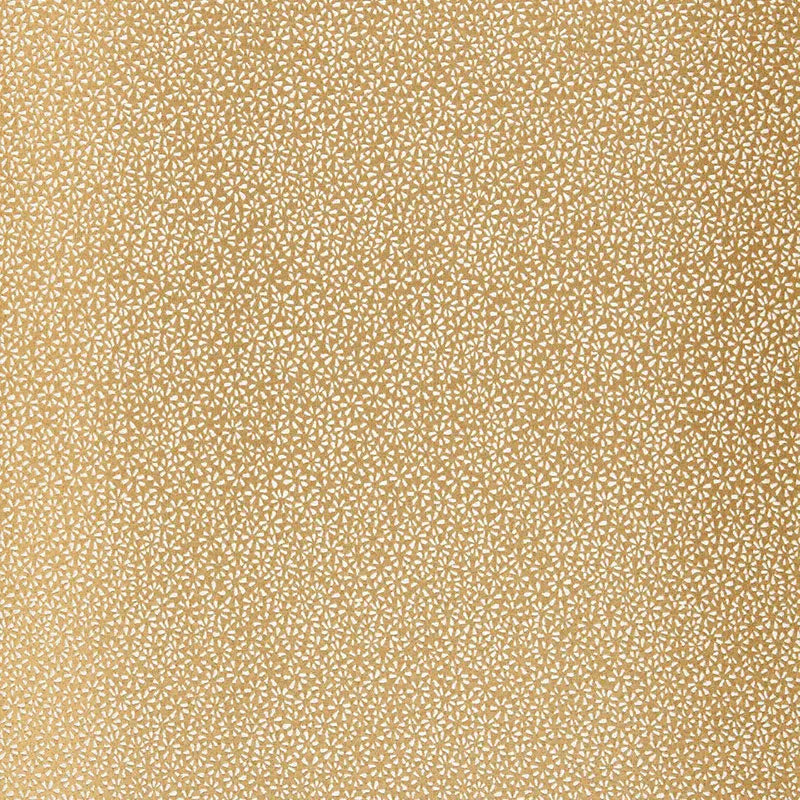 KYOUSHA-SILK-CHAMPAGNE-SCHUMACHER-2644521