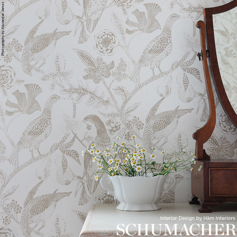 KATMANDU-BEIGE-SCHUMACHER-2700201