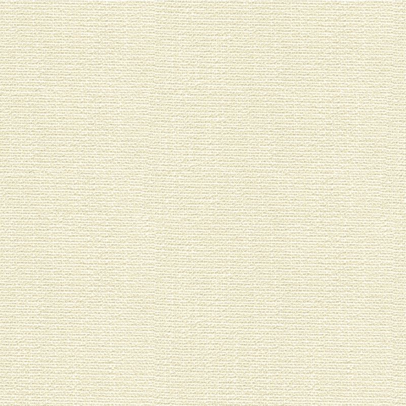 Fabric 31682.101 Kravet Smart by