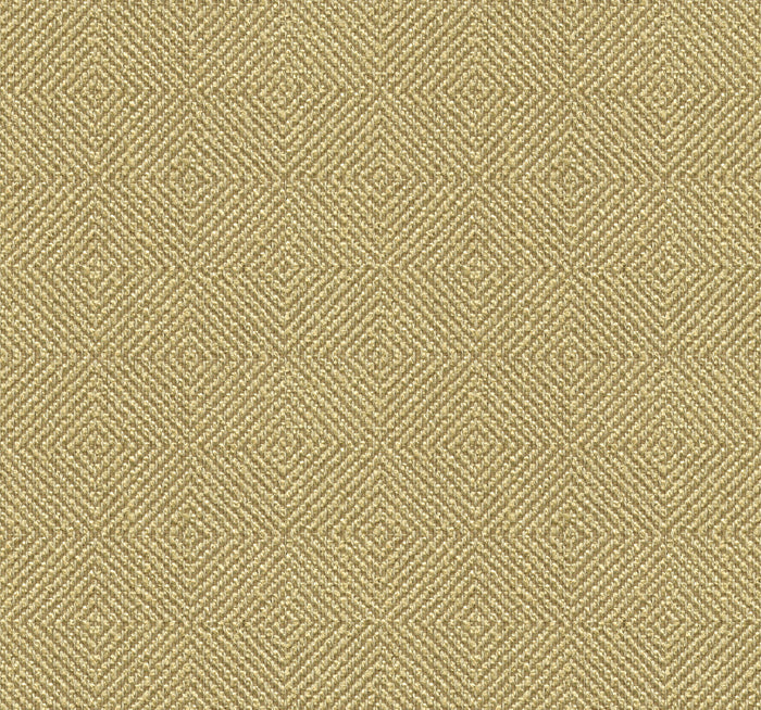 Fabric 33002.1616 Kravet Smart by