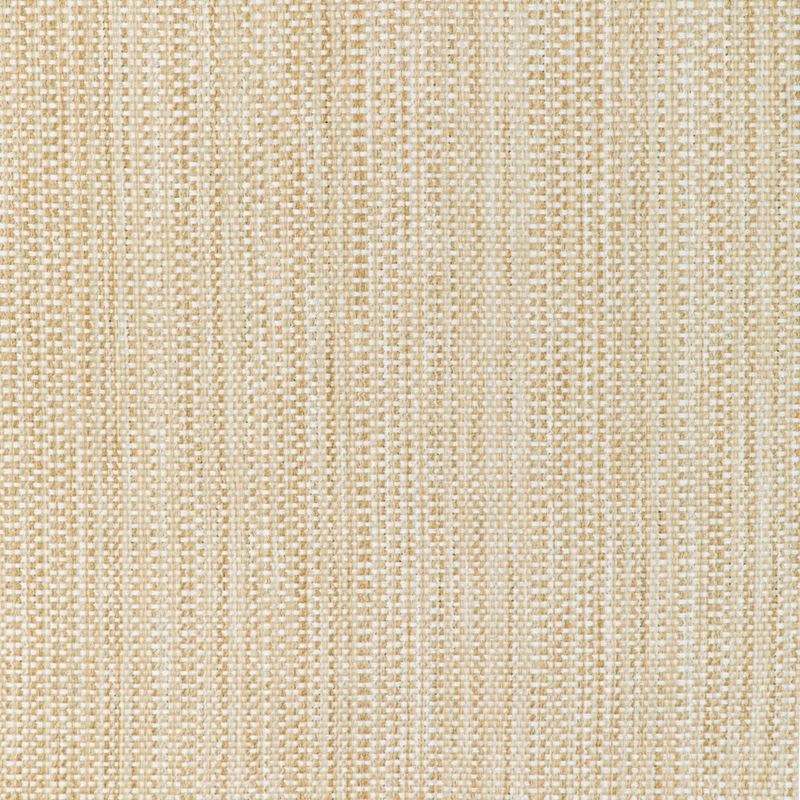 Fabric 37018.116 Kravet Smart by