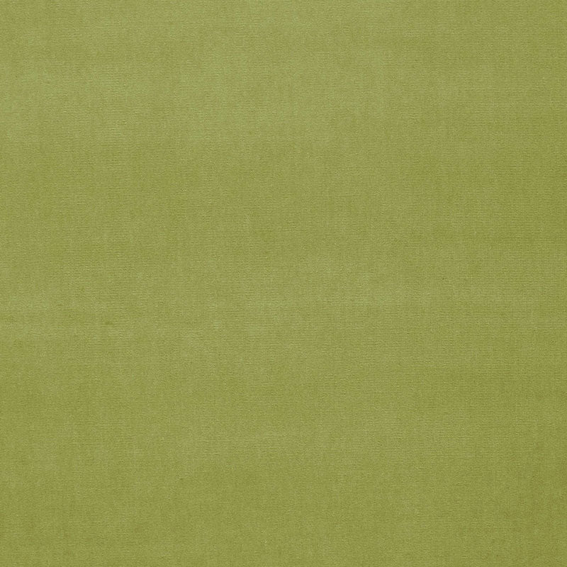 GAINSBOROUGH-VELVET-CELERY-SCHUMACHER-42864