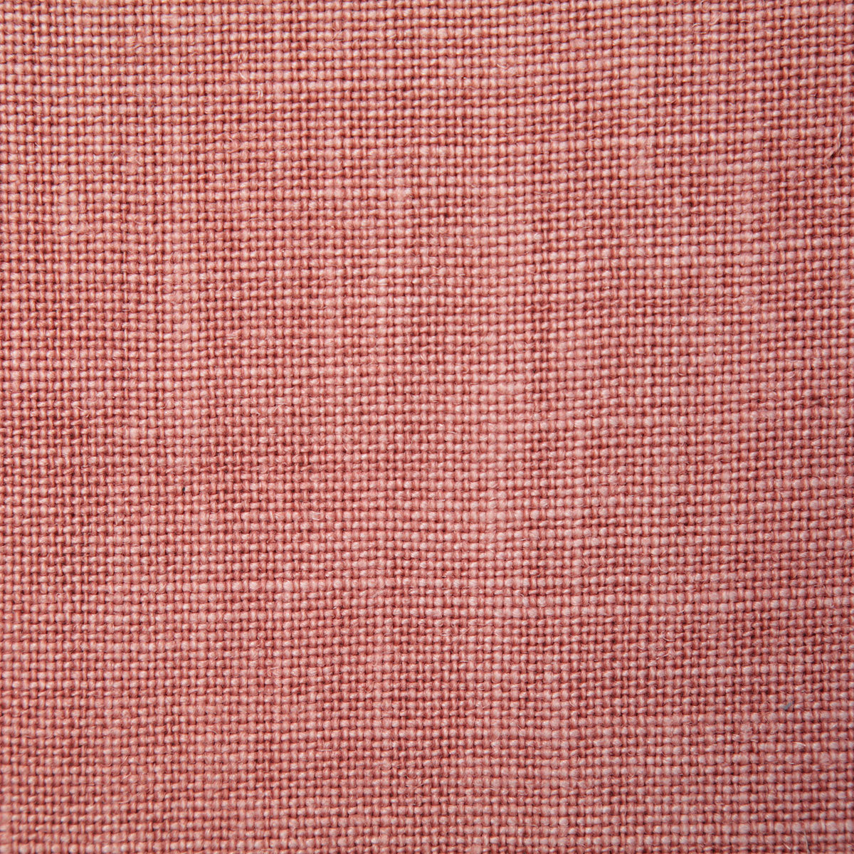 4580-fabienne-coral-pindler