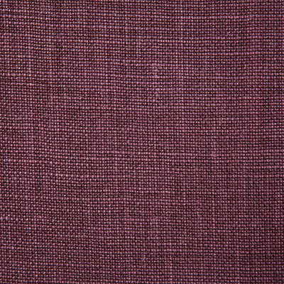 4580-fabienne-plum-pindler