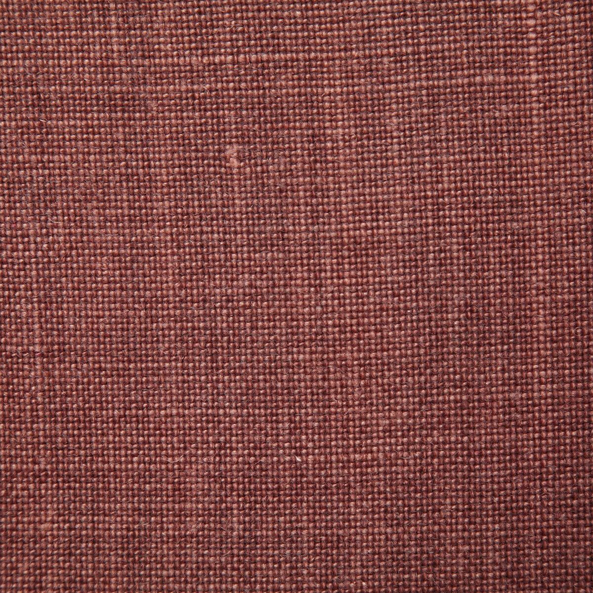 4580-fabienne-rust-pindler