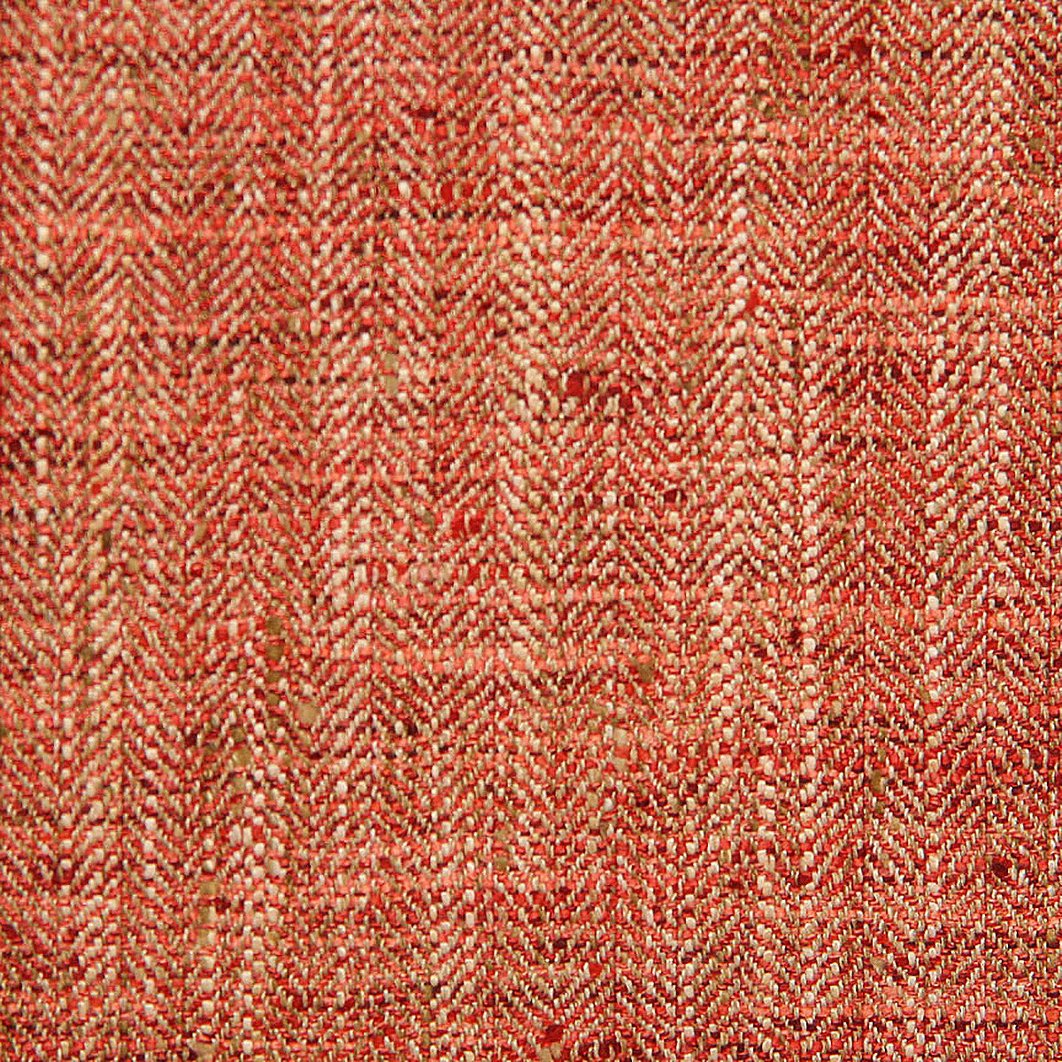 4759-alexander-coral-pindler