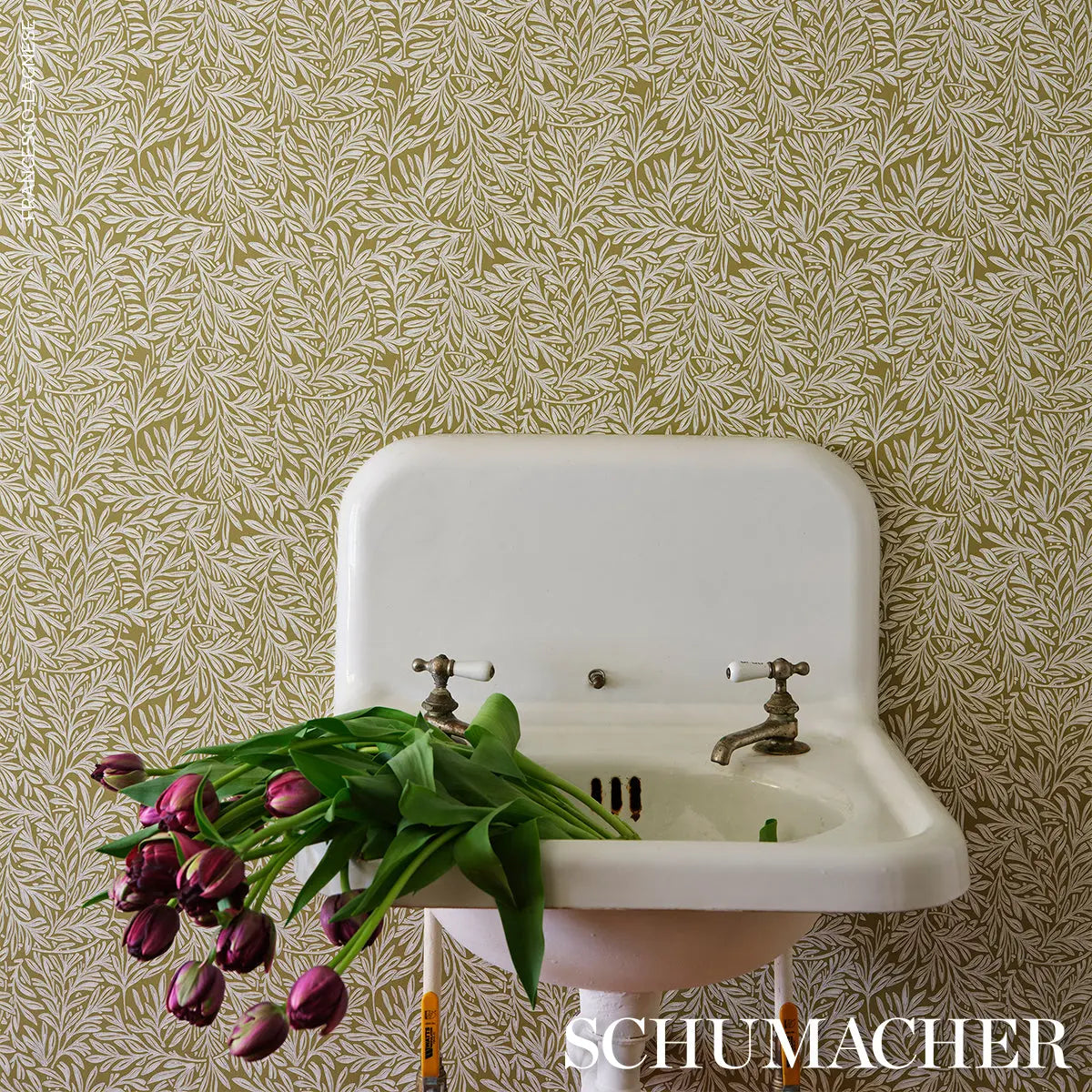 WILLOW-LEAF-MOSS-SCHUMACHER-5004137