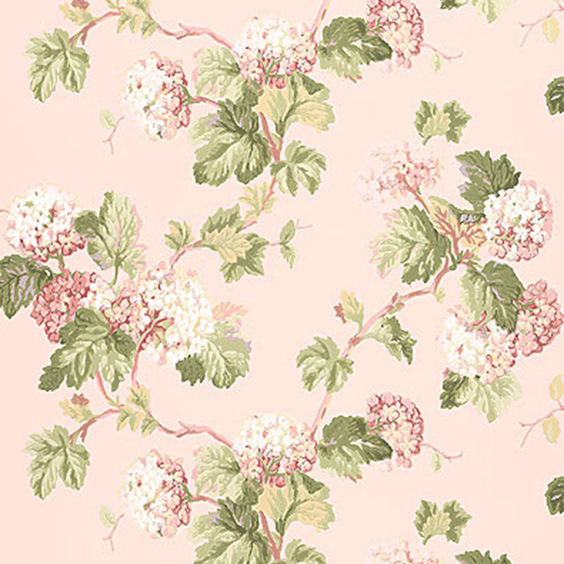 VIBURNUM-BLUSH-SCHUMACHER-5004370