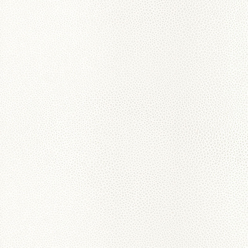 SHAGREEN-WHITE-PEARL-SCHUMACHER-5005852