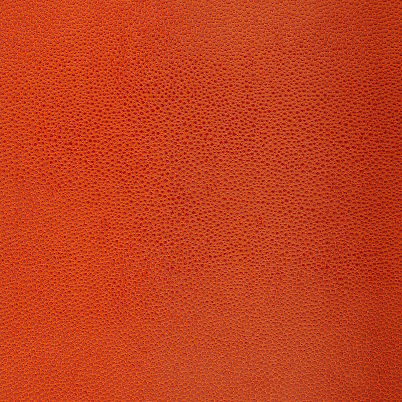 SHAGREEN-CHINESE-ORANGE-SCHUMACHER-5005852