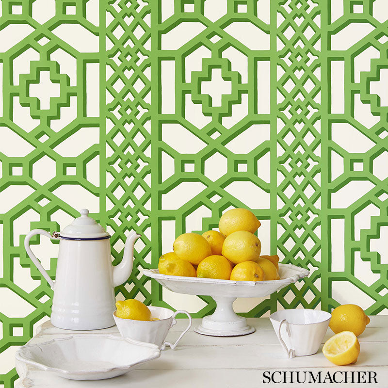 ZANZIBAR-TRELLIS-CLOUD-SCHUMACHER-5006945