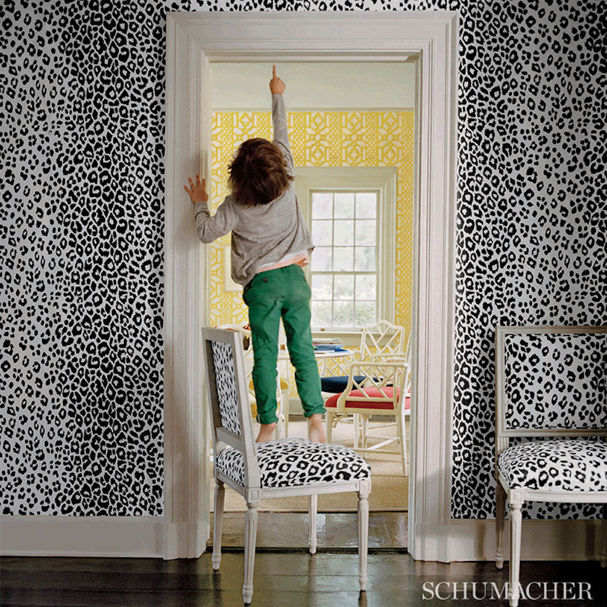 ICONIC-LEOPARD-GRAPHITE-SCHUMACHER-5007013