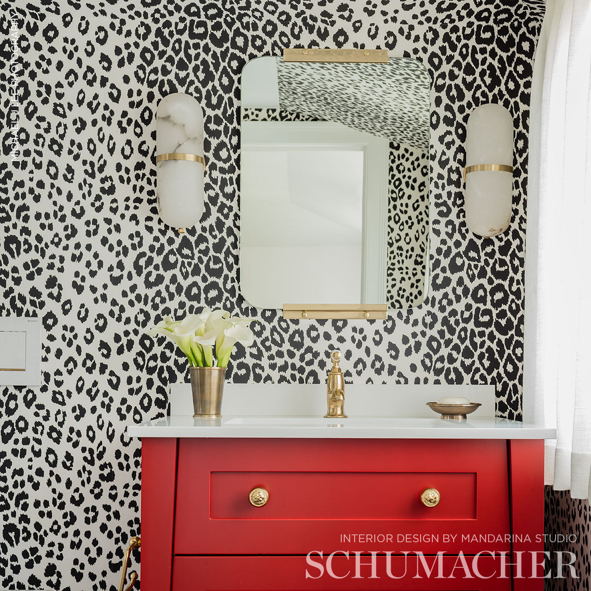 ICONIC-LEOPARD-GRAPHITE-SCHUMACHER-5007013