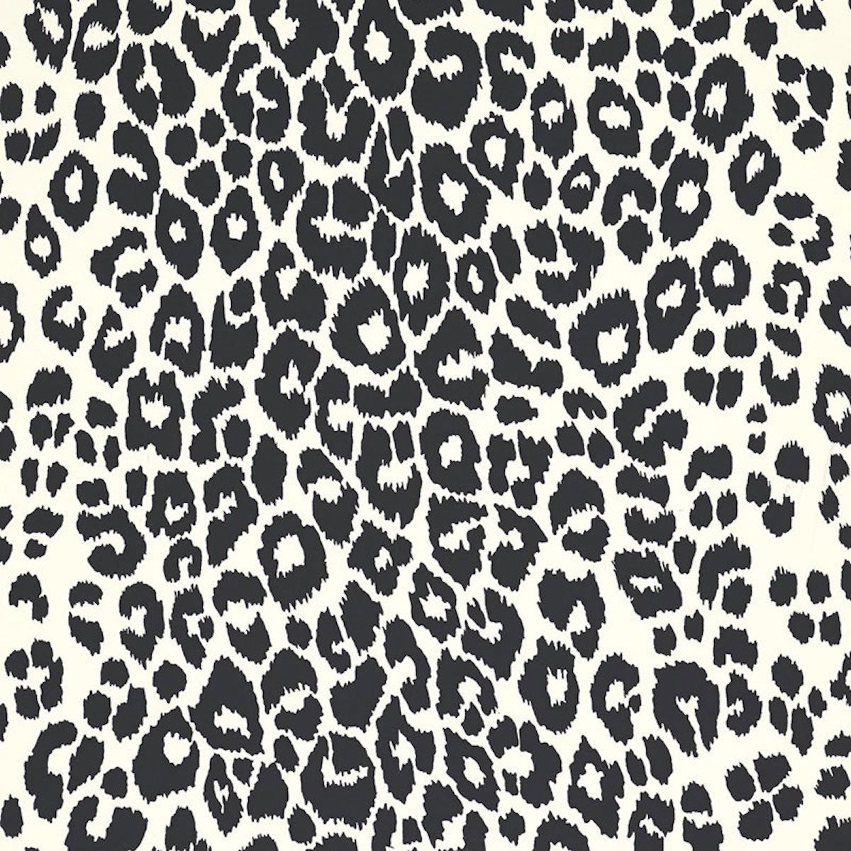 ICONIC-LEOPARD-GRAPHITE-SCHUMACHER-5007017