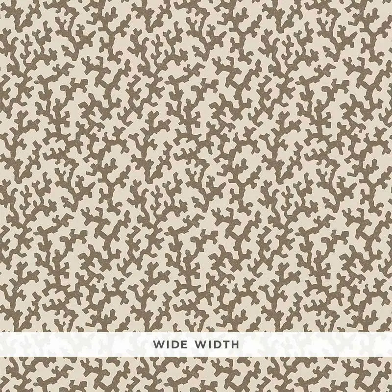 FOLLY-BERBER-BROWN-SCHUMACHER-5008006