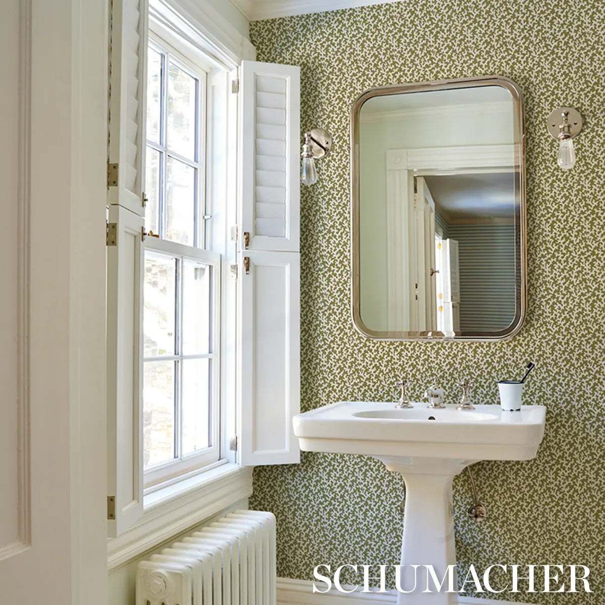 FOLLY-OLIVE-SCHUMACHER-5008008