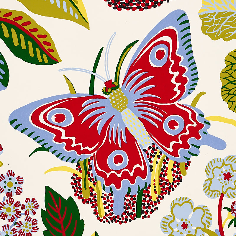 EXOTIC-BUTTERFLY-MULTI-SCHUMACHER-5008423