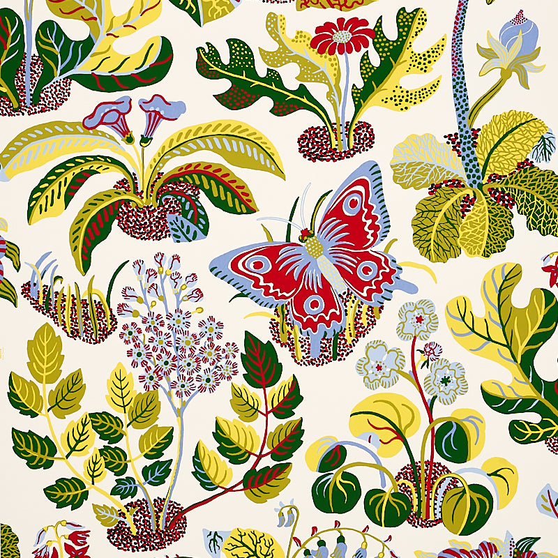 EXOTIC-BUTTERFLY-MULTI-SCHUMACHER-5008421