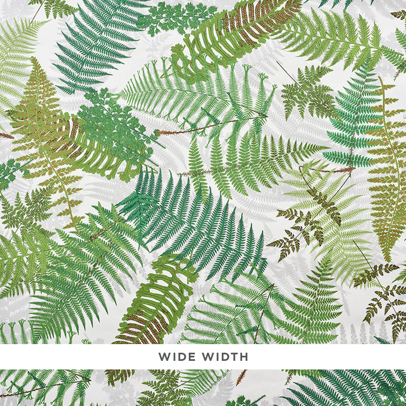 FERNARIUM-IVORY-LEAF-SCHUMACHER-5009190